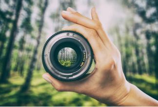 Mão feminina segurando uma lente de máquina fotográfica em uma floresta